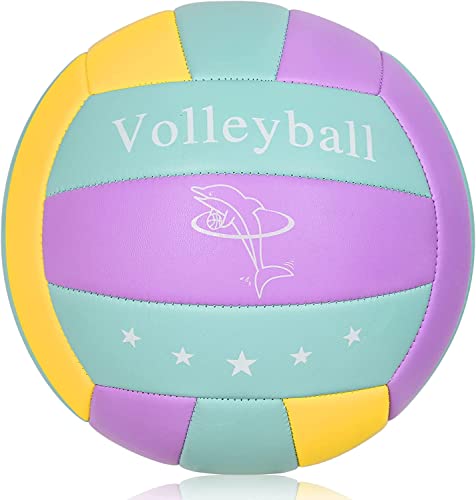 MSCYAE Pallone da pallavolo ufficiale 5, Pallone Beach Volley Soft Touch Volleyball per Bambini Adulti Viola Blu