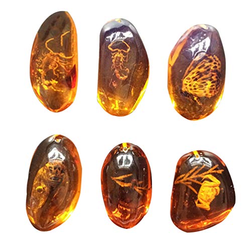 BESPORTBLE 5 pezzi di ambra insetticida in cristalli di insetti, co...