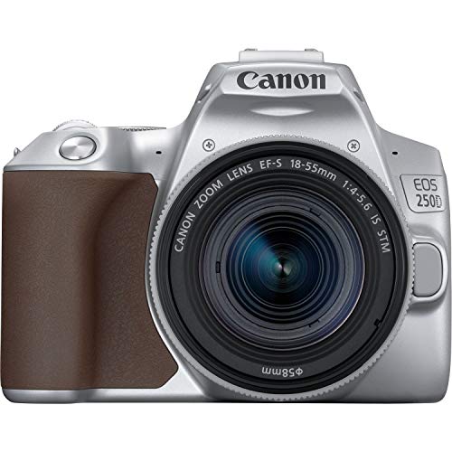 Canon EOS 250D + EF-S 18-55mm f 4-5.6 IS STM Kit fotocamere SLR 24,1 MP CMOS 6000 x 4000 Pixel Argento