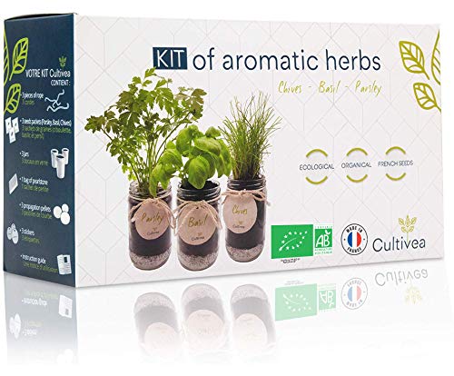 CULTIVEA Set completo - Fai crescere le tue di erbe aromatiche - 100% semi ecologici e biologici - Semi con 3 vasetti di vetro – DIY - (erba cipollina, cipollina, basilico)