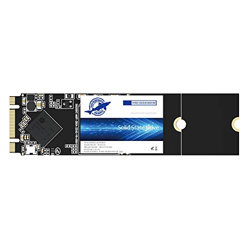 Dogfish SSD 120GB M.2 NGFF 2280 Unità a Stato Solido Integrata Interno MLC Desktop Laptop Hard Drive Disk M2 120GB