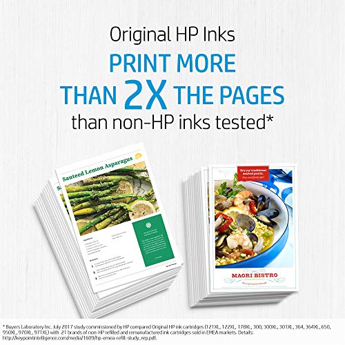 HP - Cartuccia d inchiostro 305 3YM61AE, compatibile con HP Deskjet...