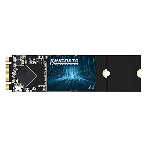 KINGDATA SSD M.2 2280 1TB Ngff Unità disco rigido interna ad alte prestazioni per laptop desktop SATA III 6 Gb s (1TB, M.2 2280)