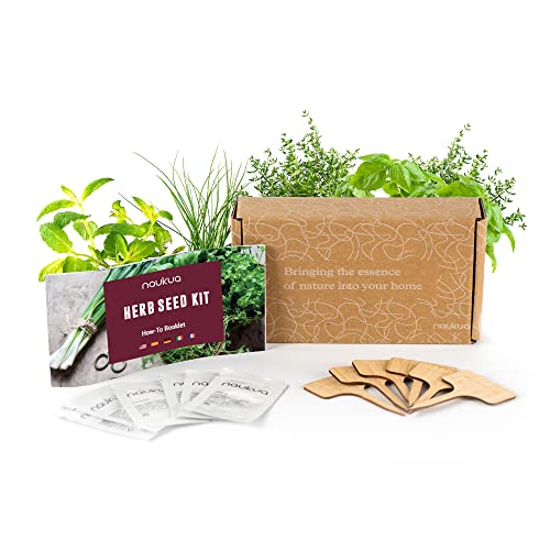 Kit 6x Semi Piante Aromatiche - Semi Organici dalla Spagna - 6x Targhette in Bamboo - Libretto di istruzioni e eBook di ricette GRATIS!
