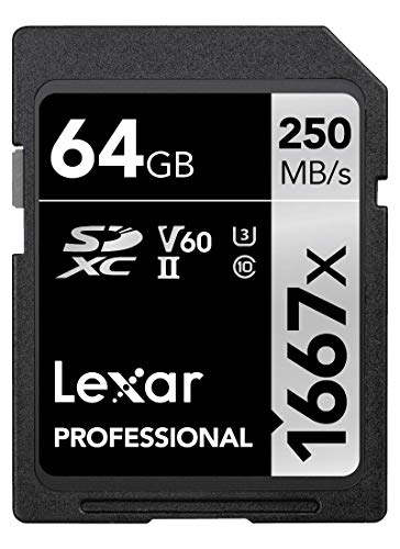 Lexar Professional 1667x Scheda SD 64 GB, Scheda di memoria SDXC UHS-II, Fino a 250 MB s di lettura, per Fotografi Professionisti, Videografi, Appassionati (LSD64GCB1667)