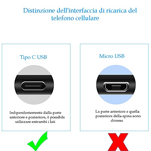 LIANSUM Caricatore 3.0 Cavo USB Tipo C, Caricabatterie Carica Rapid...