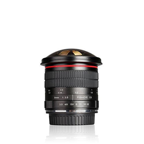 Meike 8mm f 3.5 Ultra Wide Angle Manual Focus Rectangle Fisheye Lens for APS-C DSLR Nikon D500 D3200 D3300 D3400 D5200 D5300 D5500 D5600 D7100 D7200 D7500 DSLR Cameras