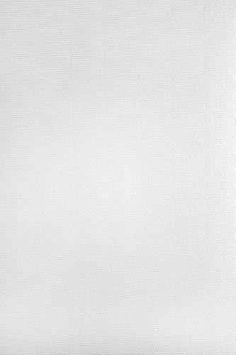 Netuno 50 fogli di carta vergata bianca formato A4 210x 297 mm 120g Aster Laid White carta bianca vergata con filigrana per calligrafia brochure report aziendali editoria di pregio carta inviti
