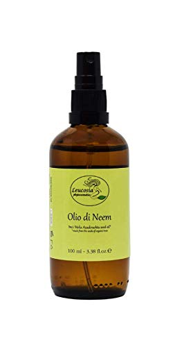 Olio di Neem - 100% Puro e Biologico dall odore pungente. Spremuto ...