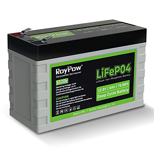 RoyPow LiFePO4 Deep Cycle - Batteria ricaricabile al litio da 6 Ah ...