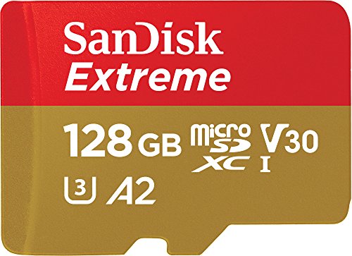 SanDisk 256 GB Extreme scheda microSDXC