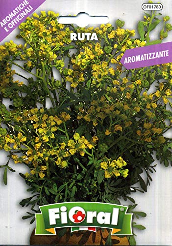Sementi di piante aromatiche e officinali in bustina ad uso amatoriale (RUTA)