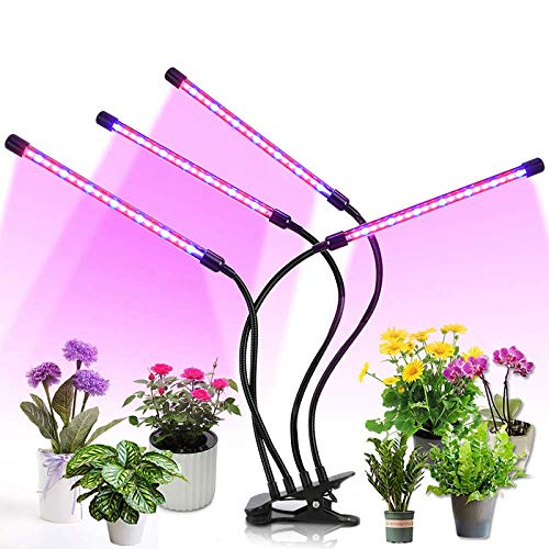 Zueyen Lampada per piante a LED, 4 Heads 80 LED, spettro completo, 10 tipi di luminosità regolabile a 360°, lampada per piante, lampada per la crescita con timer per il giardinaggio, bonsais