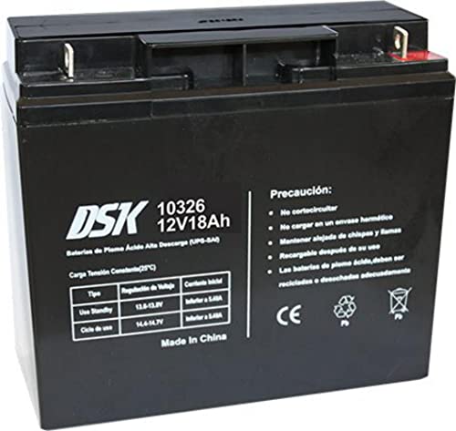 DSK 10326 - Batteria al piombo sigillata AGM ricaricabile da 12V 18...
