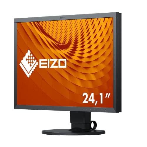 Eizo CS2410 LCD Monitor 24.1 