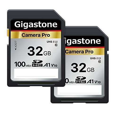 Gigastone Scheda SD 32 GB, Set da 2, 4K Camera Pro, V10, Scheda Mem...