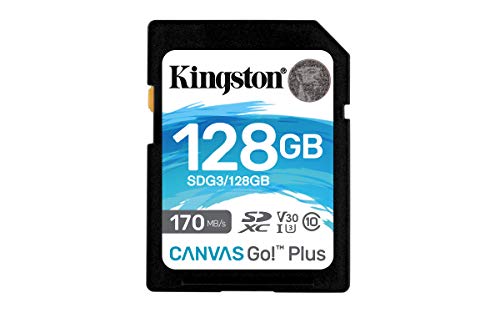 Kingston SDG3 128GB Scheda di Memoria SD (128GB SDXC Canvas Go Plus 170R C10 UHS-I U3 V30)