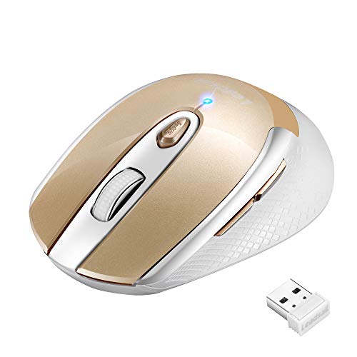 LeadsaiL Mouse Wireless, Mouse Ottico Mini Silenzioso con Clic Mute, Ergonomic Mouse Senza Fili 2,4G con Nano Ricevitore, 1600DPI Mouse