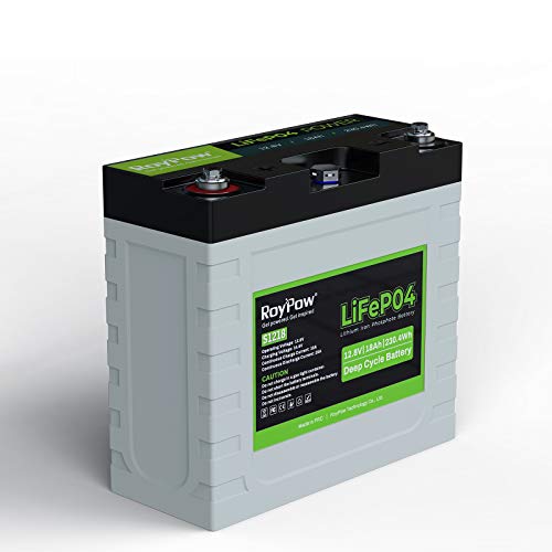 RoyPow Batteria ricaricabile LiFePO4 (12V 18Ah)