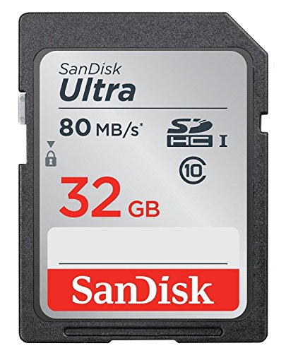 SanDisk Ultra Scheda di Memoria SDHC Traditional, Velocità fino a 80 MB sec, 32 GB, Classe 10