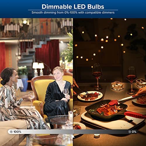 SANSI Lampadine LED E27, 27W lampadina a LED equivalente 250W, Dimm...