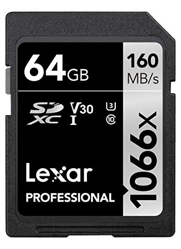 Lexar Scheda professionale SDXC UHS-I da 1066 x 64 GB, in lettura, fino a 160 MB s, per fotocamere DSLR e mirrorless (LSD1066064G-BNNNU)