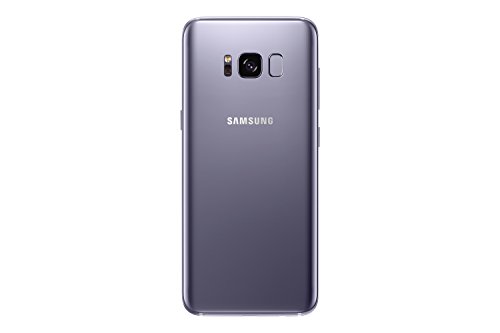 Samsung Smartphone Galaxy S8 (Hybrid SIM) 64GB - Grigio (Ricondizio...