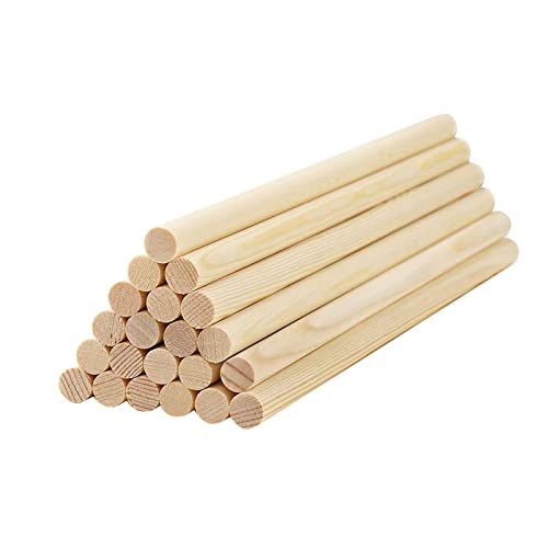 HOSSIAN Bastoncini di legno 20 bastoni di legno tasselli di legno p...