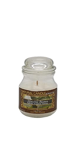 NATURE CANDLE candela profumata 100% cera vegetale - Giara 90g Musc...