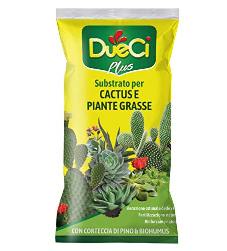DueCi Substrato Cactus e Piante Grasse...